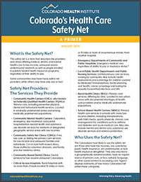 Safety net primer report