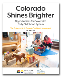 Shines report cover