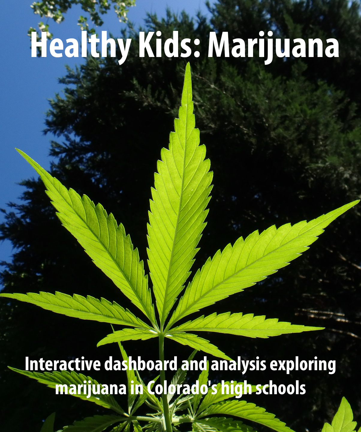 Marijuana Healthy Kids