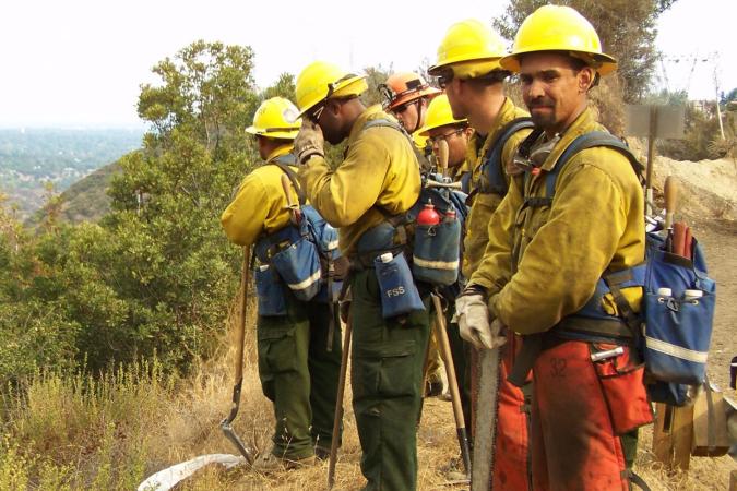 Six wildland firefighters in yellow and olive fire-resistant gear such stand atop a slope with dry grasses and scrub trees in the background