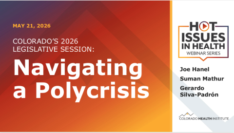 Navigating a Polycrisis text in front of purple and orange background 