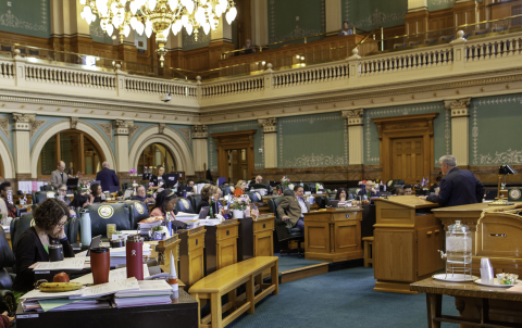 Picture of the Colorado House floor, with a representative wearing a dark suit speaking from a podium on the left side while others sit in their desks and listen.